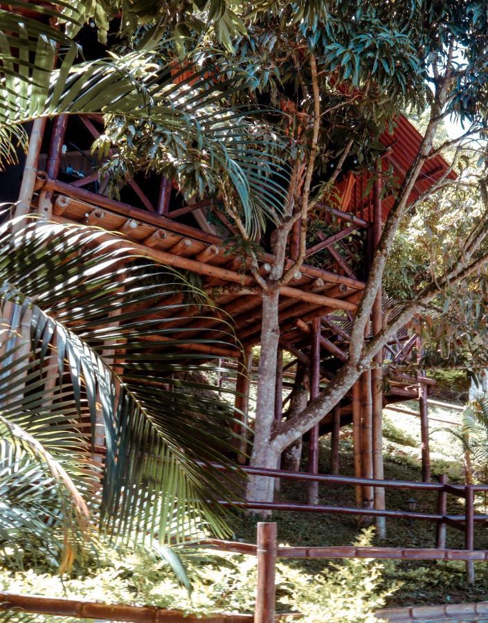 Glamping Mirador Santa Fe-Sopetran Sopetrán Exterior foto